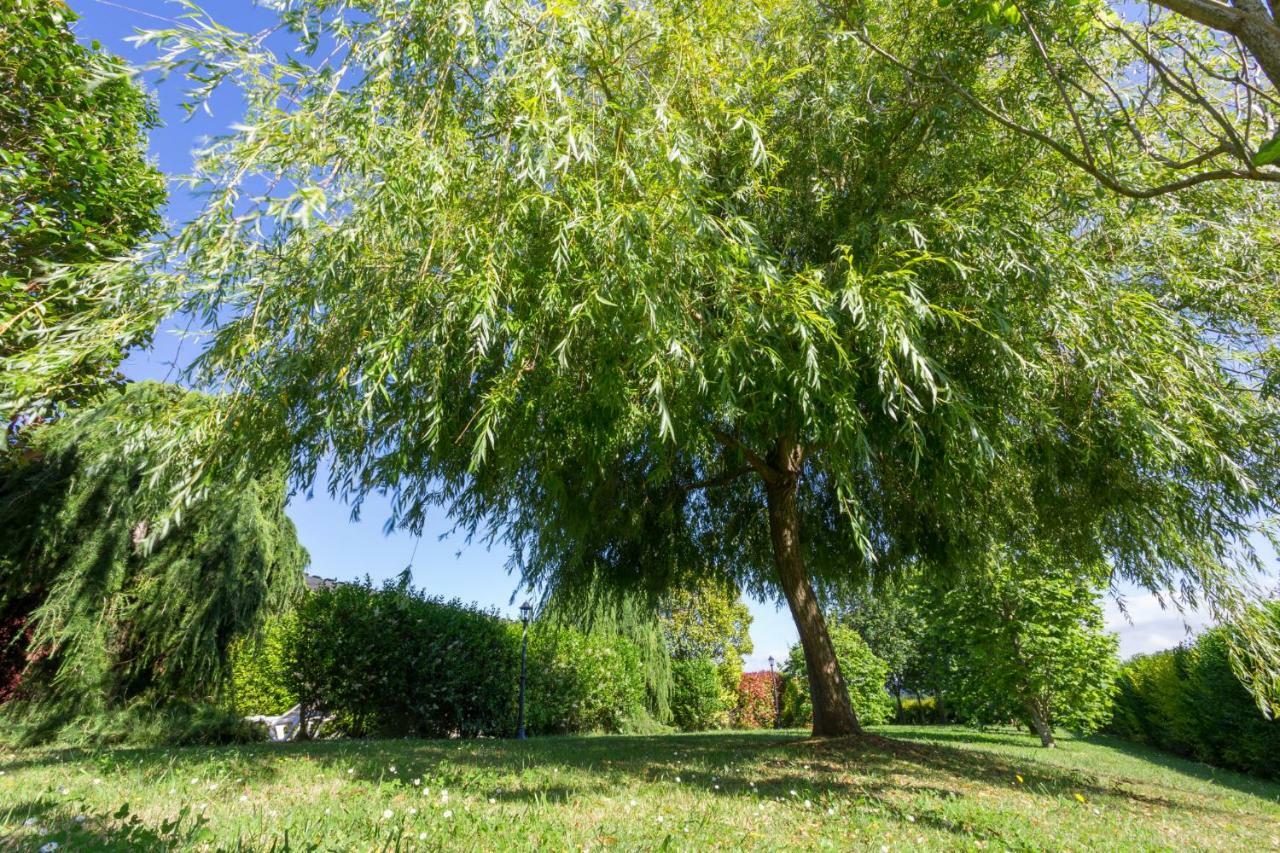 Apartamentos El Guindal 塔皮亚德卡萨列戈 外观 照片